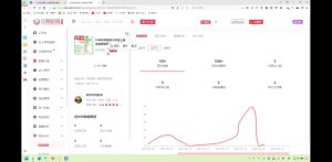 2025小红书虚拟电商实战课-E网资源