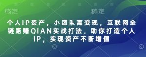 个人IP资产,小团队高变现,互联网全链路赚QIAN实战打法,助你打造个人IP,实现资产不断增值-E网资源