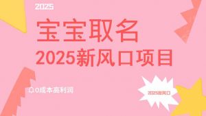 2025新风口项目宝宝取名，0成本高利润，附保姆级教程，月入过万不是梦-E网资源