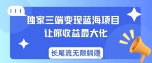 独家三端变现蓝海项目，让你收益最大化，长尾流无限躺挣-E网资源