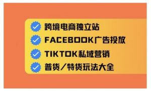 跨境电商独立站及全域流量营销,从0基础快速入门并精通跨境电商运营-E网资源