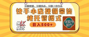 快手小店托管带货 2025新风口 批量自动剪辑爆款 月入5000+ 上不封顶-E网资源