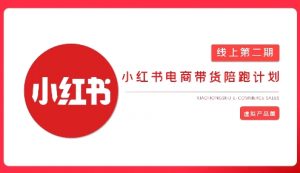2025小红书虚拟电商实战课，从0到1打造无货源店铺，AI+爆款笔记轻松变现-E网资源