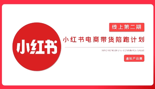 2025小红书虚拟电商实战课，从0到1打造无货源店铺，AI+爆款笔记轻松变现-E网资源