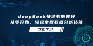 deepSeek快速驯服教程，从零开始，轻松掌握数据分析技能-E网资源