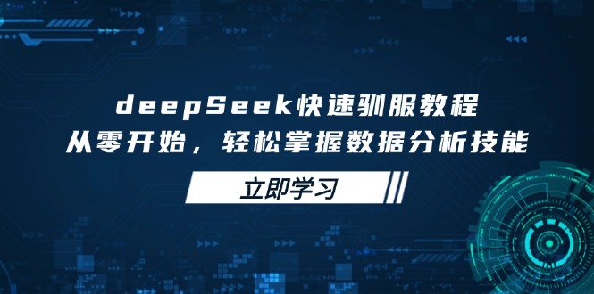 deepSeek快速驯服教程，从零开始，轻松掌握数据分析技能-E网资源