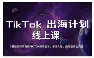 TikTok跨境电商新手起号与运营全攻略，0基础做跨境电商TIKTOK新手起号，小店入驻，操作指南全流程-E网资源