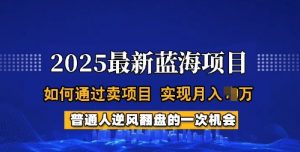 2025蓝海项目，普通人如何通过卖项目，实现月入过W，全过程【揭秘】-E网资源