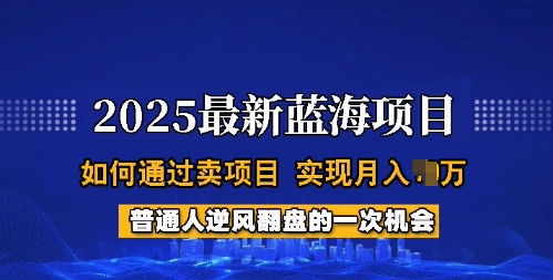 2025蓝海项目，普通人如何通过卖项目，实现月入过W，全过程【揭秘】-E网资源