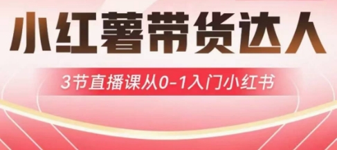 小红薯达人带货启航计划，3节直播课从0-1入门小红书-E网资源