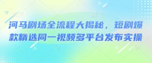 河马剧场全流程大揭秘，短剧爆款精选同一视频多平台发布实操-E网资源