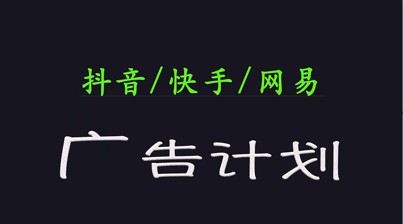 2025短视频平台运营与变现广告计划日入1000+，小白轻松上手-E网资源
