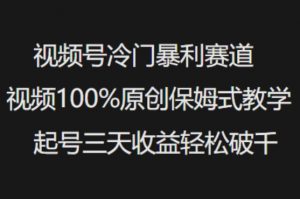 视频号冷门暴利赛道视频100%原创保姆式教学起号三天收益轻松破千-E网资源