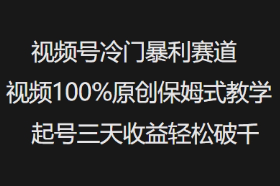 视频号冷门暴利赛道视频100%原创保姆式教学起号三天收益轻松破千-E网资源