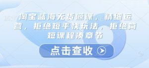 淘宝蓝海无货源课，精细运营，拒绝短平快玩法，拒绝简短课程凑章节-E网资源