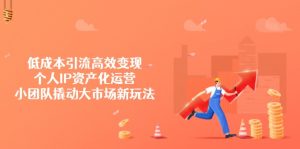 低成本引流高效变现，个人IP资产化运营，小团队撬动大市场新玩法-E网资源