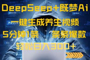 DeepSeek+既梦Ai生成养生视频，5分钟一条，条条爆款，轻松日入300+-E网资源