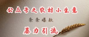 deepseek写农村小项目，条条爆款，暴力引流-E网资源
