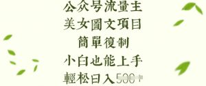 流量主长期收益项目，美女图片简单复制，小白也能上手，轻松日入5张-E网资源