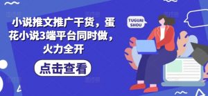 小说推文推广干货，蛋花小说3端平台同时做，火力全开-E网资源