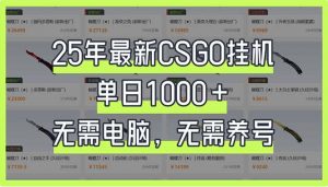 25年最新CSGO挂机系统，单日1000+，无需电脑，无需养号，0基础可上手-E网资源