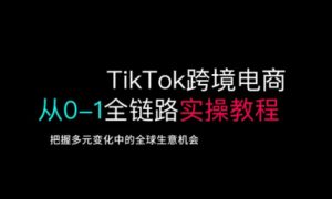 TikTok跨境电商从0-1全链路全方位实操教程，把握多元变化中的全球生意机会-E网资源