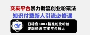 交友平台暴力截流创业粉玩法，知识付费新人引流必修课，日稳定300+精准创业粉丝，逻辑相通可多平台放大-E网资源