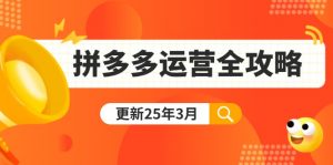 拼多多运营全攻略：从0到日销千单,爆款内功+付费推广+黑科技(更新25年3月-E网资源
