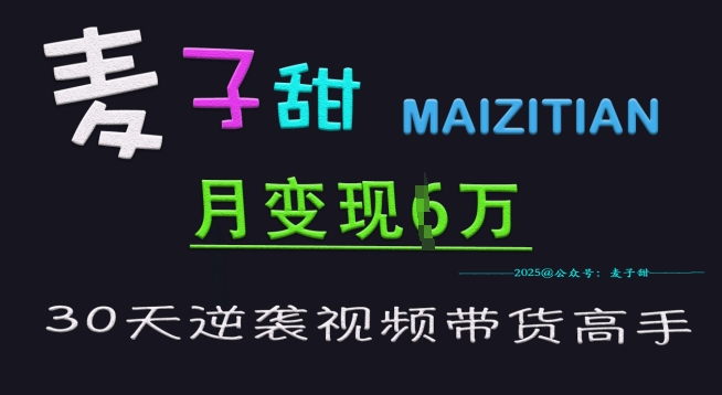 麦子甜30天逆袭视频带货高手，单月变现6W加特训营-E网资源