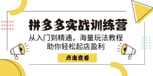 拼多多实战训练营,从入门到精通,海量玩法教程,助你轻松起店盈利-E网资源