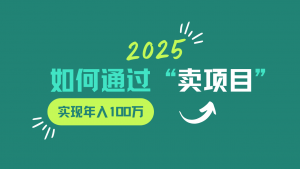 2025年如何通过“卖项目”实现年入100w-E网资源