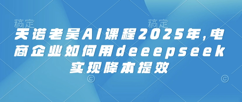 天诺老吴AI课程2025年，电商企业如何用deeepseek实现降本提效-E网资源