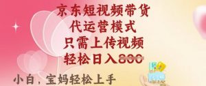 京东短视频带货，2025翻身项目，只需上传视频，单月稳定变现8k+【揭秘】-E网资源
