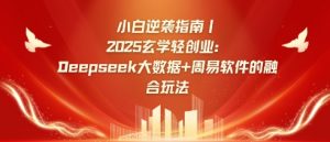 小白逆袭指南，2025玄学轻创业：Deepseek大数据+周易算法的融合玩法-E网资源