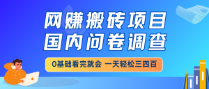 网赚搬砖项目，国内问卷调查，0基础看完就会 一天轻松三四百，靠谱副业...-E网资源