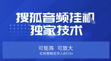 【搜狐音频挂G】独家技术，可矩阵可放大，红利期稳定月入8k【揭秘】-E网资源