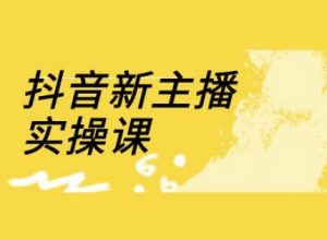 抖音新主播实操课，直播间流量运营线上实操课(18节)-E网资源