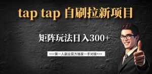 taptap拉新自刷项目，一个新用户14元，矩阵玩法日入300+-E网资源