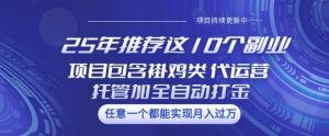 25年推荐这10个副业项目包含褂鸡类、代运营托管类、全自动打金类【揭秘】-E网资源