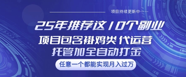 25年推荐这10个副业项目包含褂鸡类、代运营托管类、全自动打金类【揭秘】-E网资源