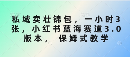 私域卖壮锦包，一小时3张，小红书蓝海赛道3.0版本， 保姆式教学-E网资源