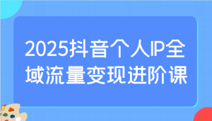 2025抖音个人IP全域流量变现进阶课：选爆品、抖音付费投流、千川投流实操及优化等-E网资源