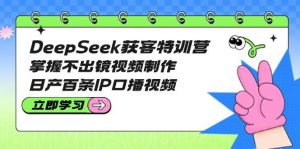DeepSeek获客特训营：掌握不出镜视频制作，日产百条IP口播视频-E网资源