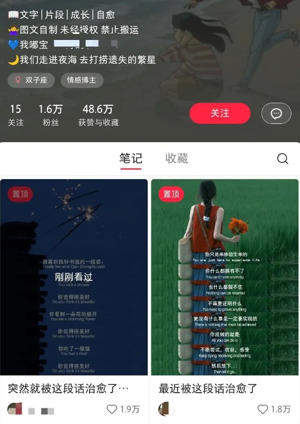 小红书治愈文案图文笔记，零门槛，一分钟制作轻松制作爆款作品月入万元-E网资源