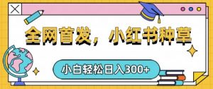 小红书种草，手机项目，日入3张，复制黏贴即可，可矩阵操作，动手不动脑【揭秘】-E网资源
