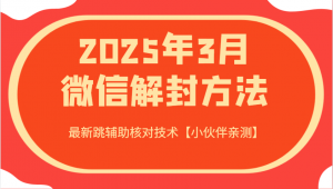2025年3月微信解封方法 最新跳辅助核对技术【小伙伴亲测】-E网资源