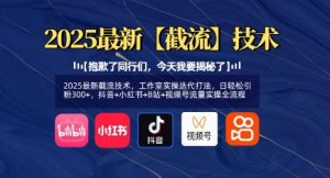 2025最新截流技术，工作室实操迭代打法，日轻松引粉300+，抖音+小红书+B站+视频号流量实操全流程-E网资源