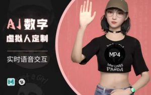 Ai数字人虚拟(智能体)实时语音交互特训营,自行定制超写实角色AI数字人交互技术-E网资源