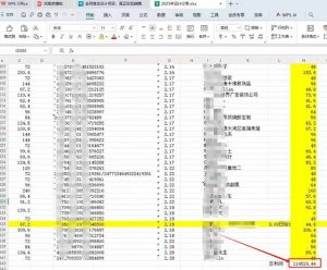 全新项目，每天被动收益1000+，长期管道收益！-E网资源