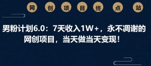 男粉计划6.0：7天收入1W+，永不凋谢的网创项目，当天做当天变现！-E网资源